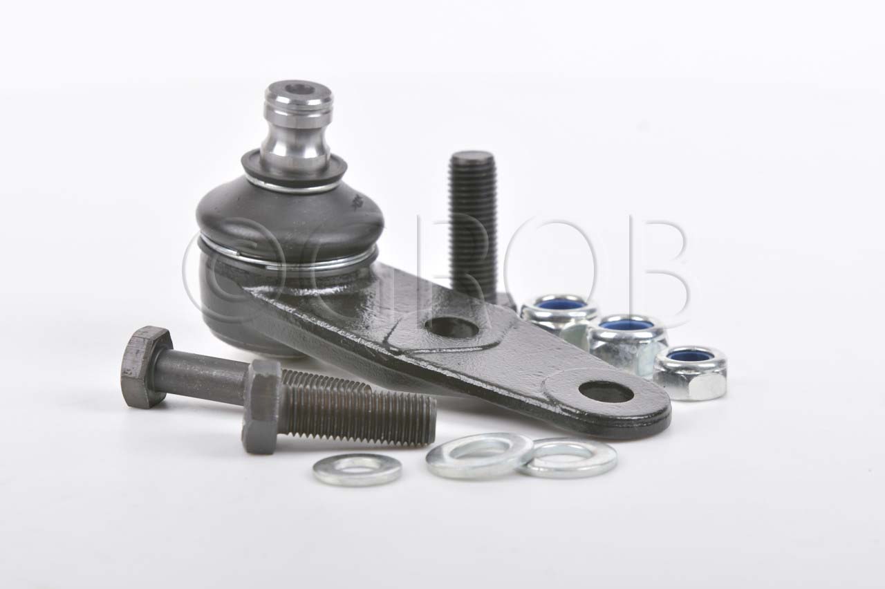 Rotula Inf. Clio Sport 02-06 Scenic 01-04