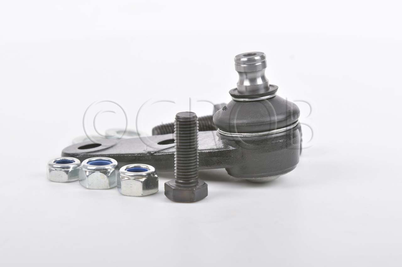 Rotula Inf. Clio Sport 02-06 Scenic 01-04