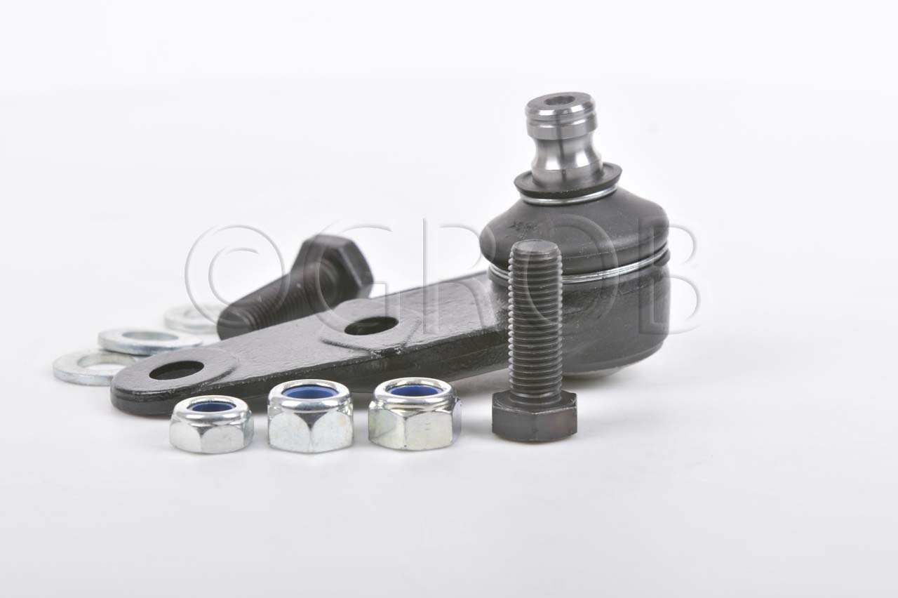 Rotula Inf. Clio Sport 02-06 Scenic 01-04