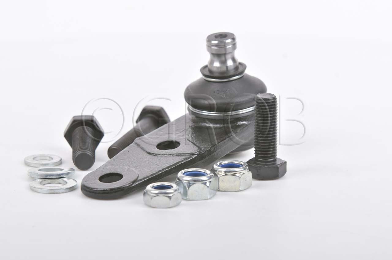 Rotula Inf. Clio Sport 02-06 Scenic 01-04