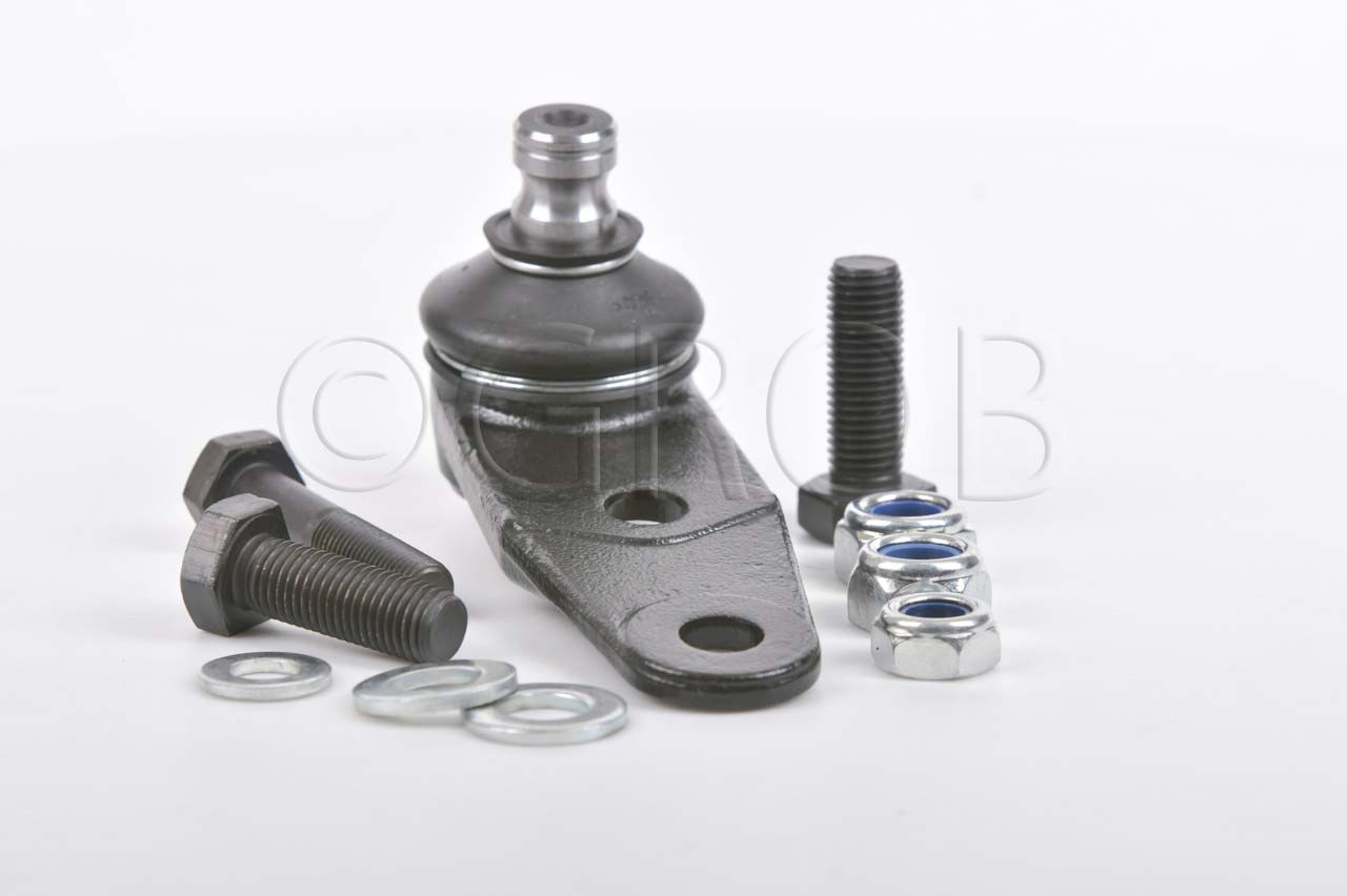 Rotula Inf. Clio Sport 02-06 Scenic 01-04