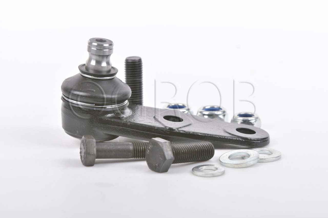 Rotula Inf. Clio Sport 02-06 Scenic 01-04