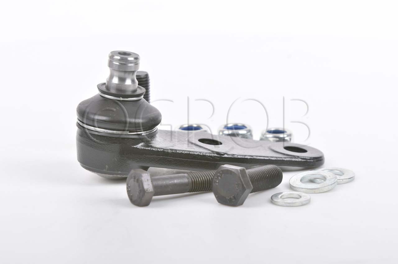 Rotula Inf. Clio Sport 02-06 Scenic 01-04
