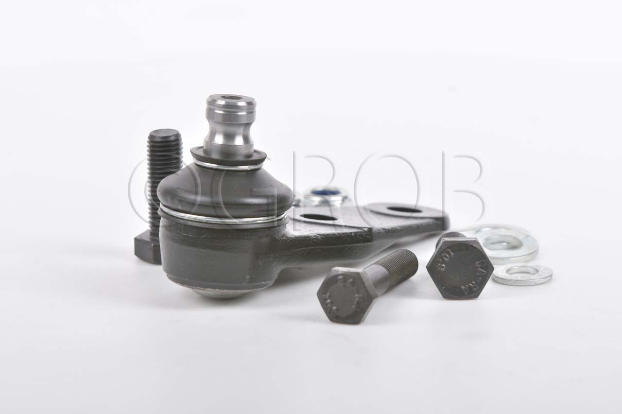 Rotula Inf. Clio Sport 02-06 Scenic 01-04