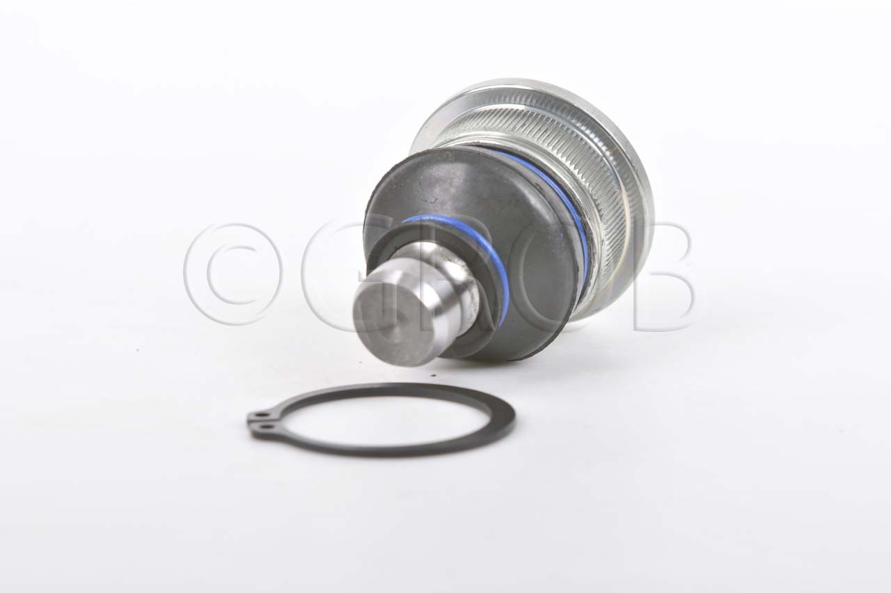 Rotula Inf. Aprio 07-11 Clio 07-09 Clio Europa 07-09 Logan 07-11 Megane 04-07 Megane II 04-07 Sandero 10-20 Scenic II 05-09 Stepway 10-23