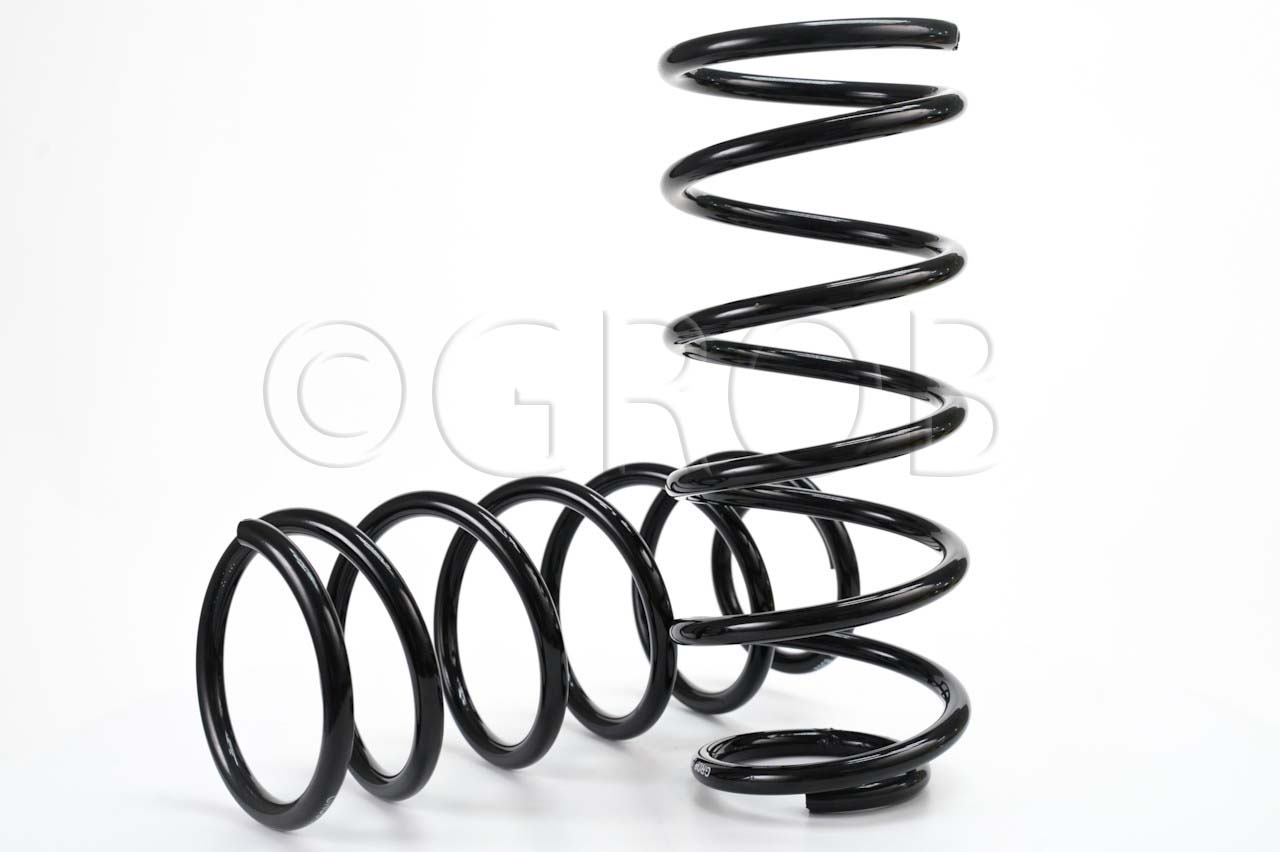 Resorte Del. Chevy 94-12 Monza 94-11