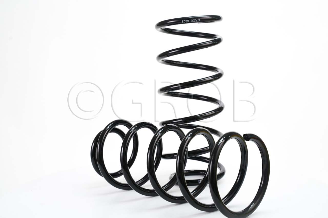Resorte Del. Chevy 94-12 Monza 94-11