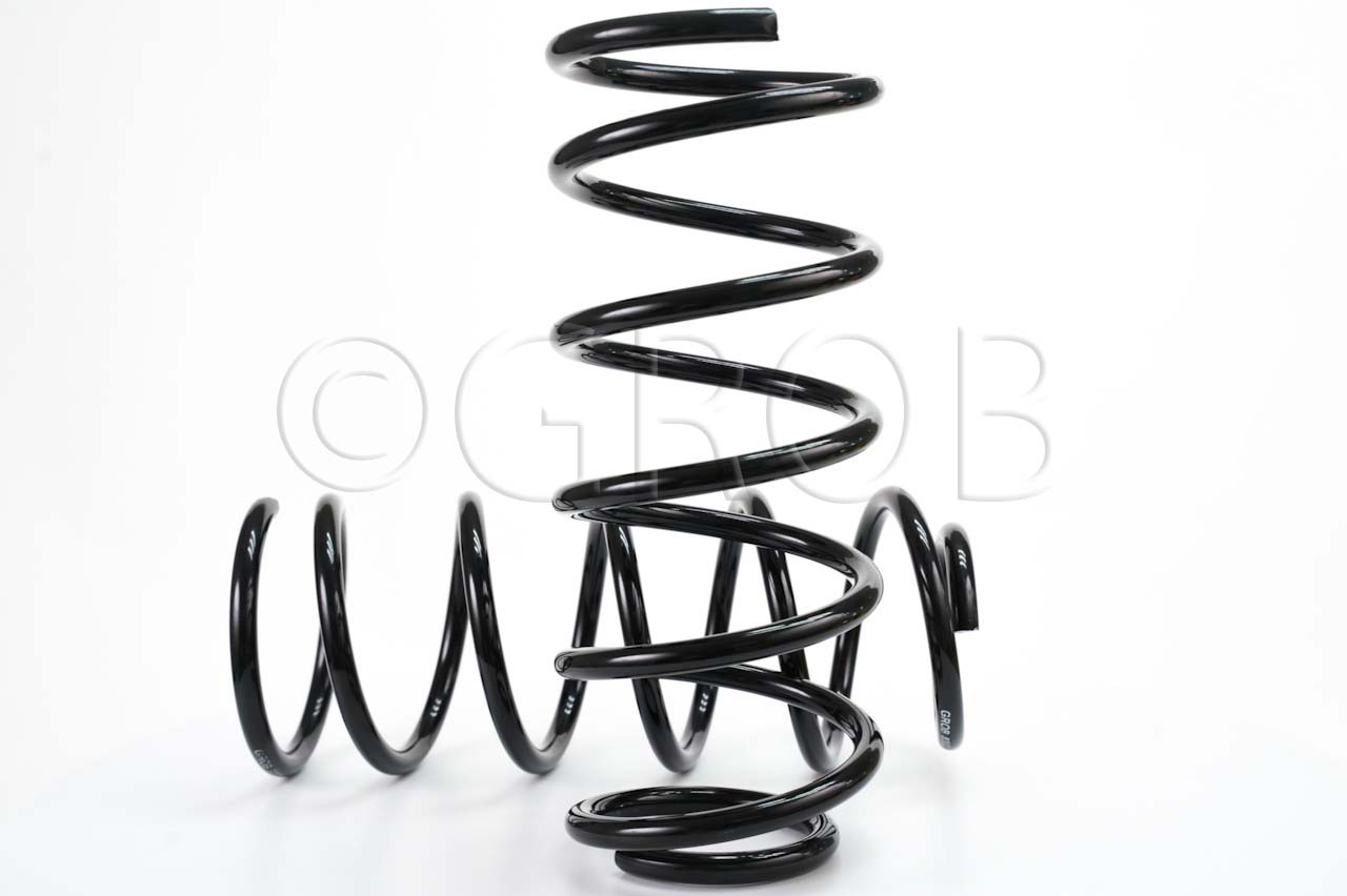 Resorte Del. Chevy 94-12 Monza 94-11