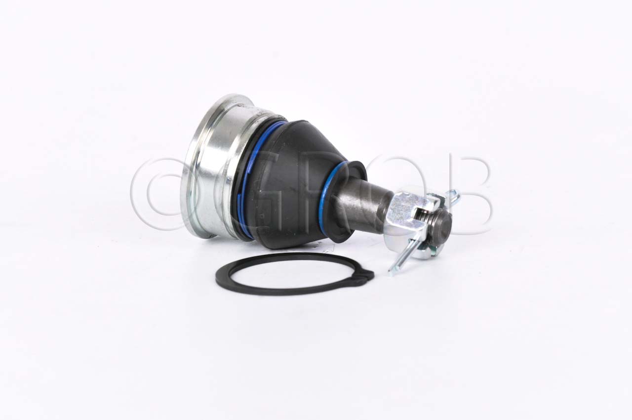 Rotula Inf. Swift 10-17