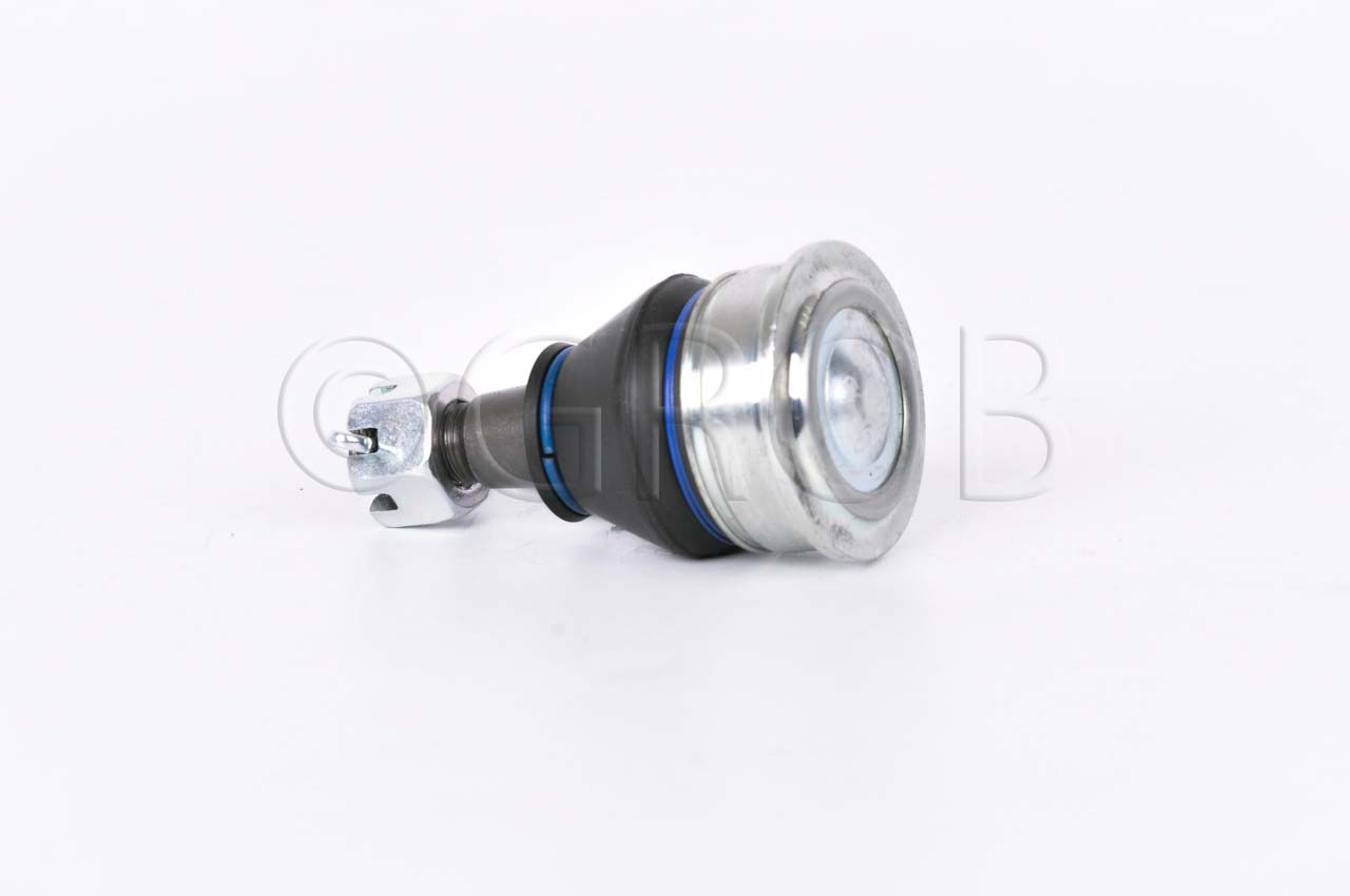 Rotula Inf. Swift 10-17