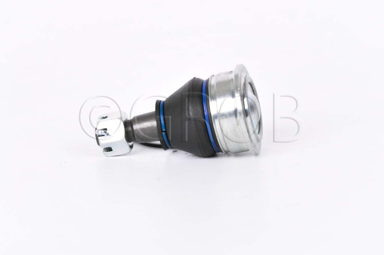 Rotula Inf. Swift 10-17