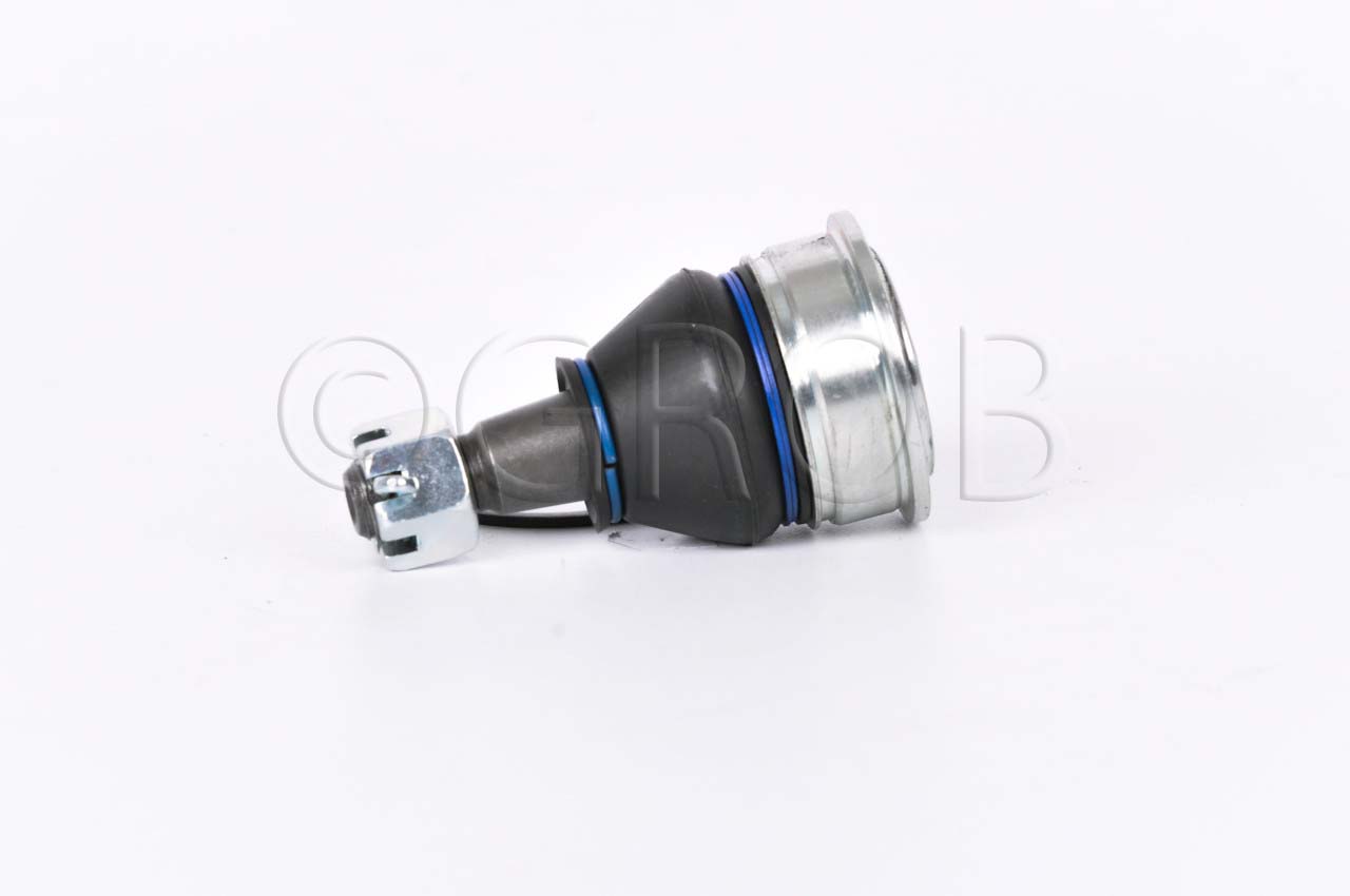 Rotula Inf. Swift 10-17