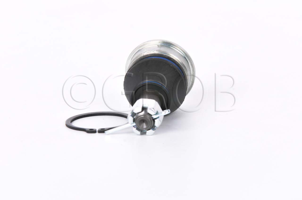 Rotula Inf. Swift 10-17