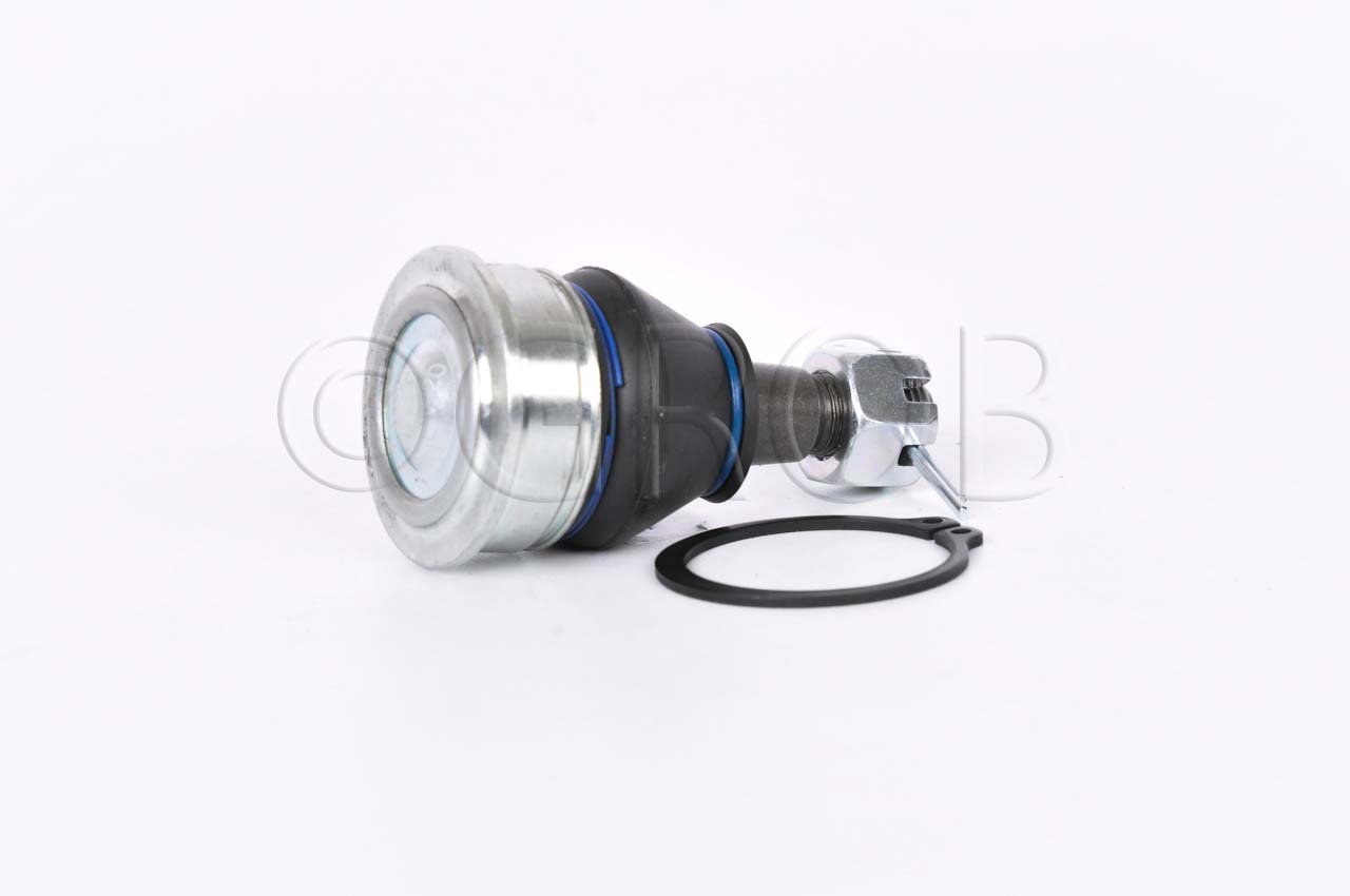 Rotula Inf. Swift 10-17