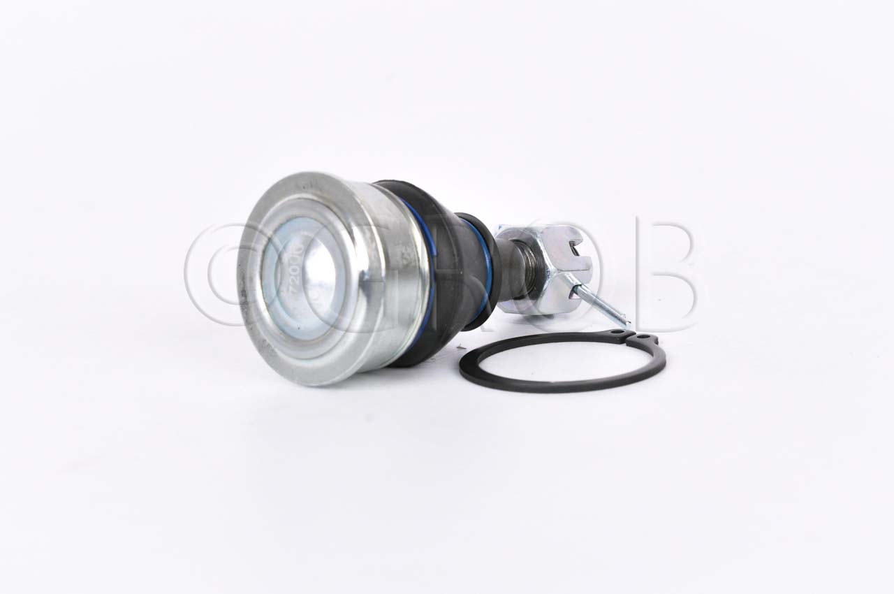 Rotula Inf. Swift 10-17