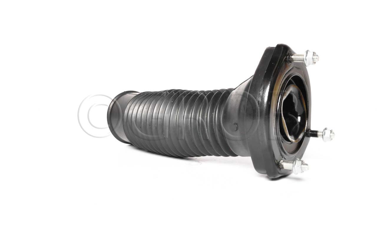 Base de Amortiguador Tras. Izq. Avalon 95-04 Camry 97-06 Highlander 01-03 Solara 99-05
