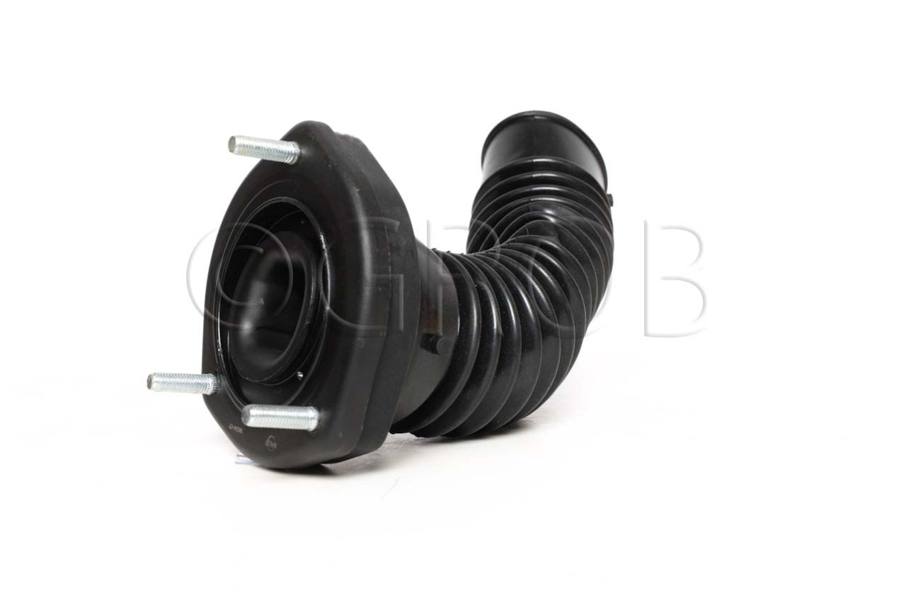 Base de Amortiguador Tras. Izq. Avalon 05-12 Camry 07-11 Solara 04-08
