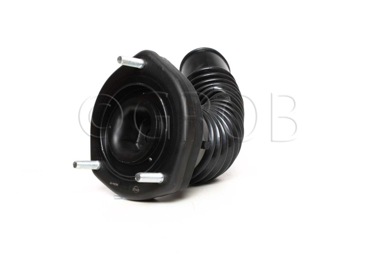 Base de Amortiguador Tras. Izq. Avalon 05-12 Camry 07-11 Solara 04-08