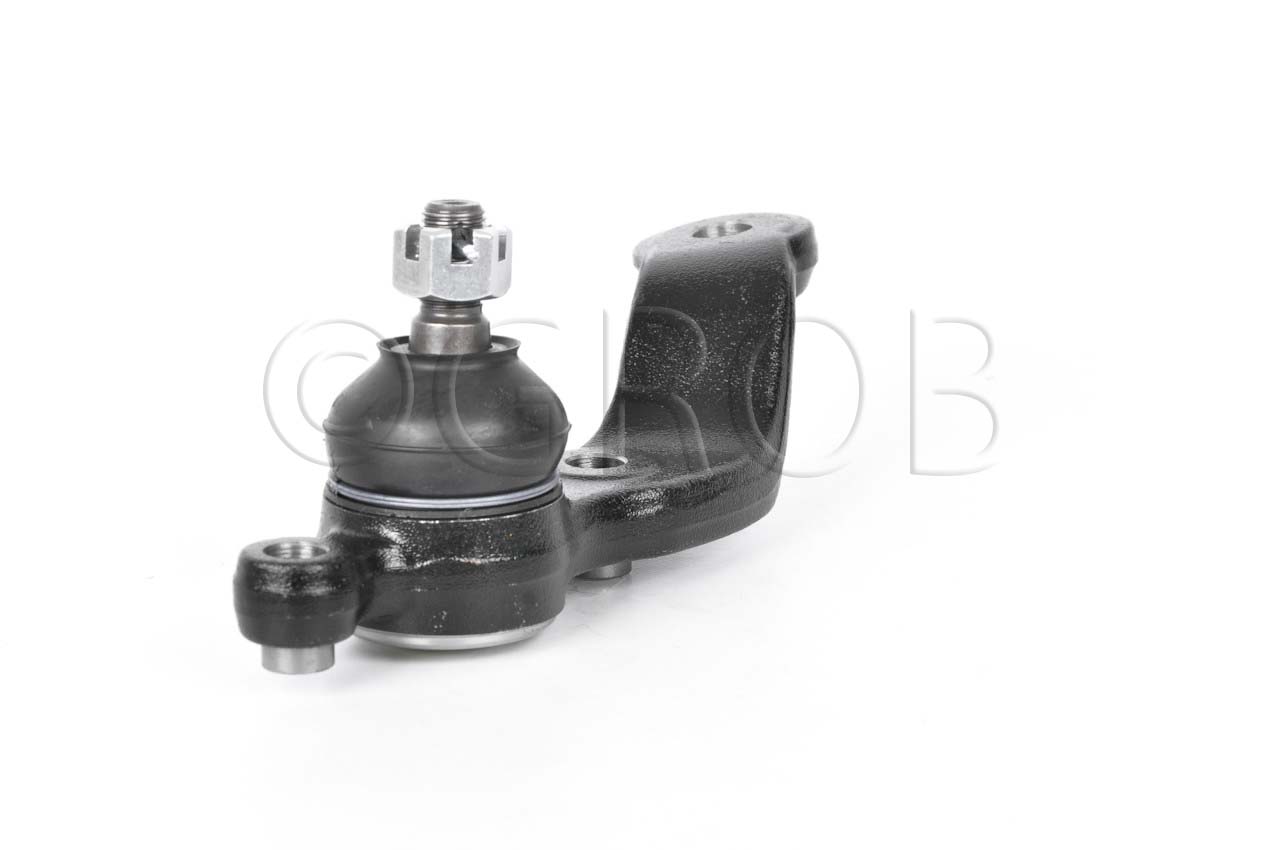 Rotula Inf. Der. Prerunner 95-04 Tacoma 95-04