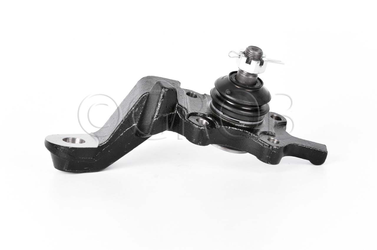 Rotula Inf. Der. Tacoma 4X4 95-04