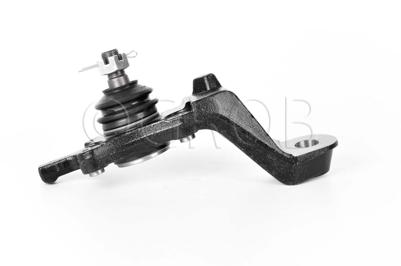 Rotula Inf. Der. Tacoma 4X4 95-04