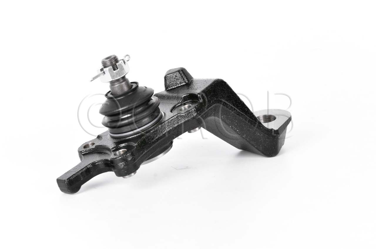 Rotula Inf. Der. Tacoma 4X4 95-04