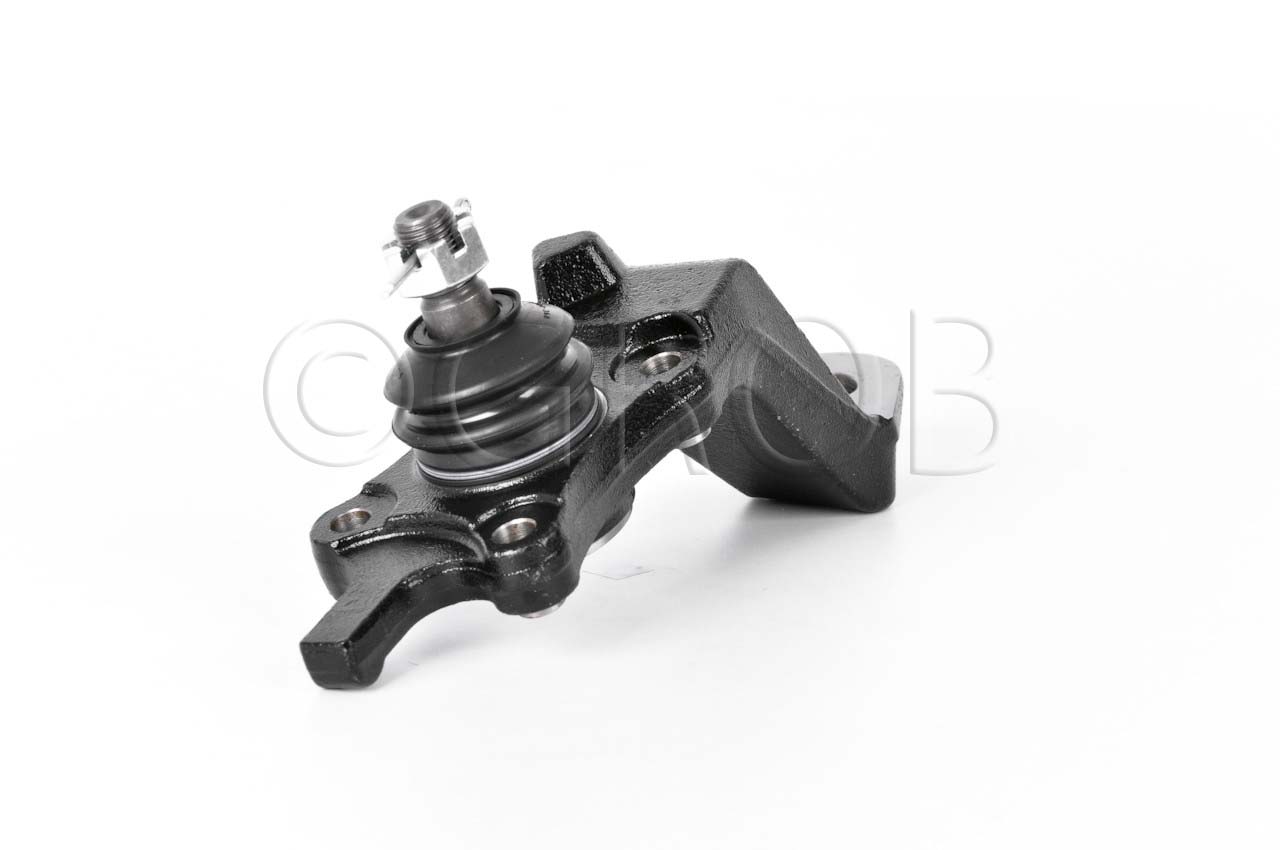 Rotula Inf. Der. Tacoma 4X4 95-04