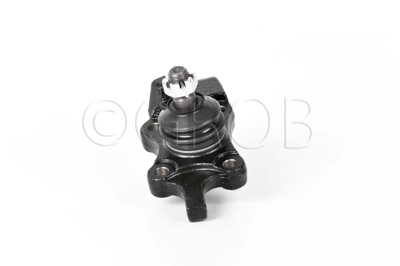 Rotula Inf. Der. Tacoma 4X4 95-04