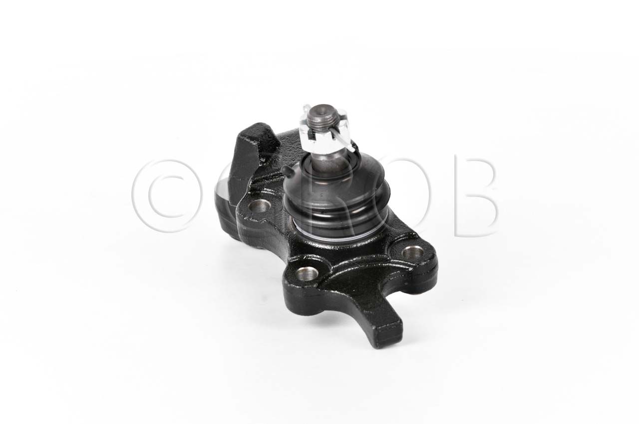 Rotula Inf. Der. Tacoma 4X4 95-04