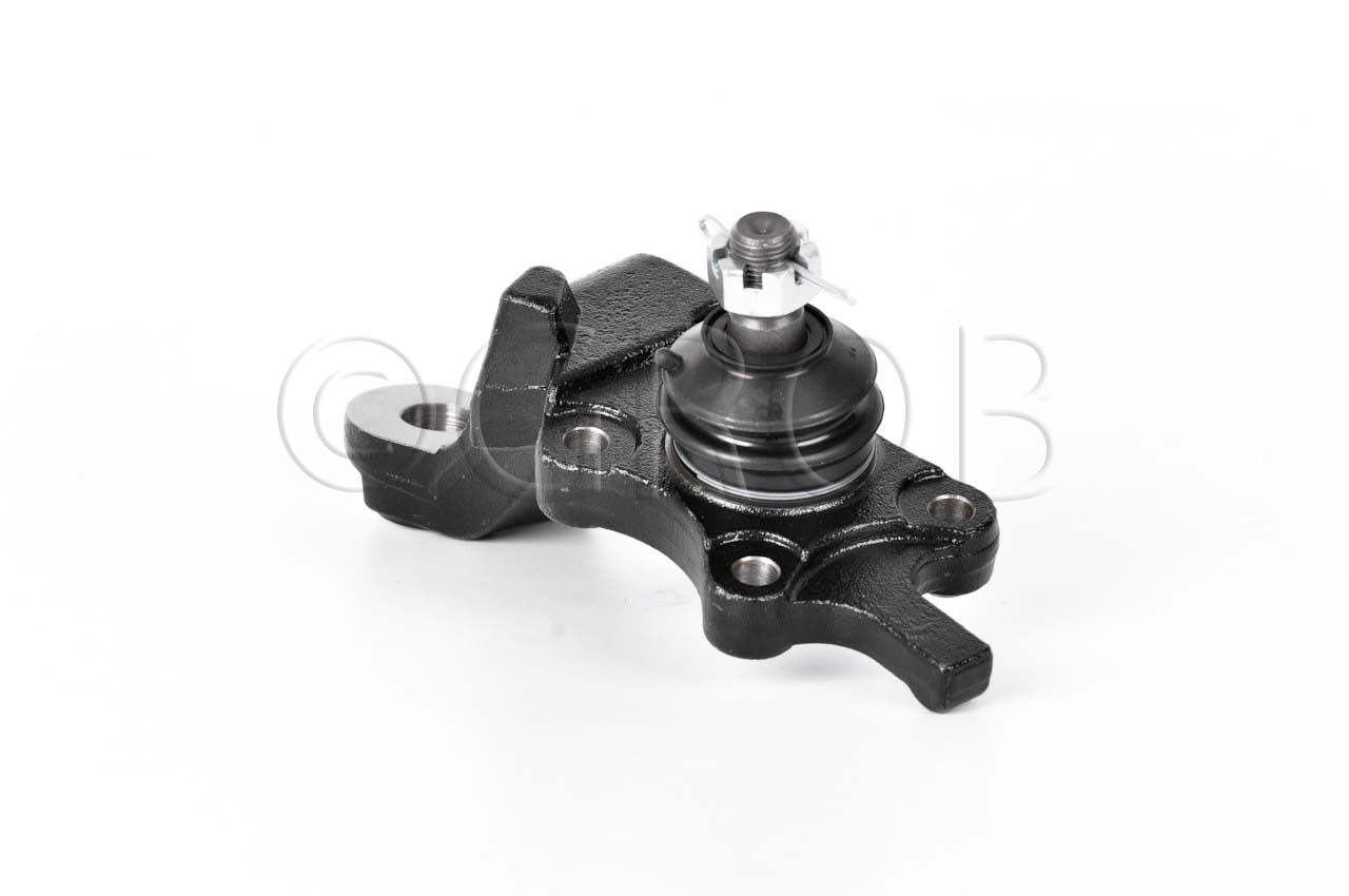 Rotula Inf. Der. Tacoma 4X4 95-04