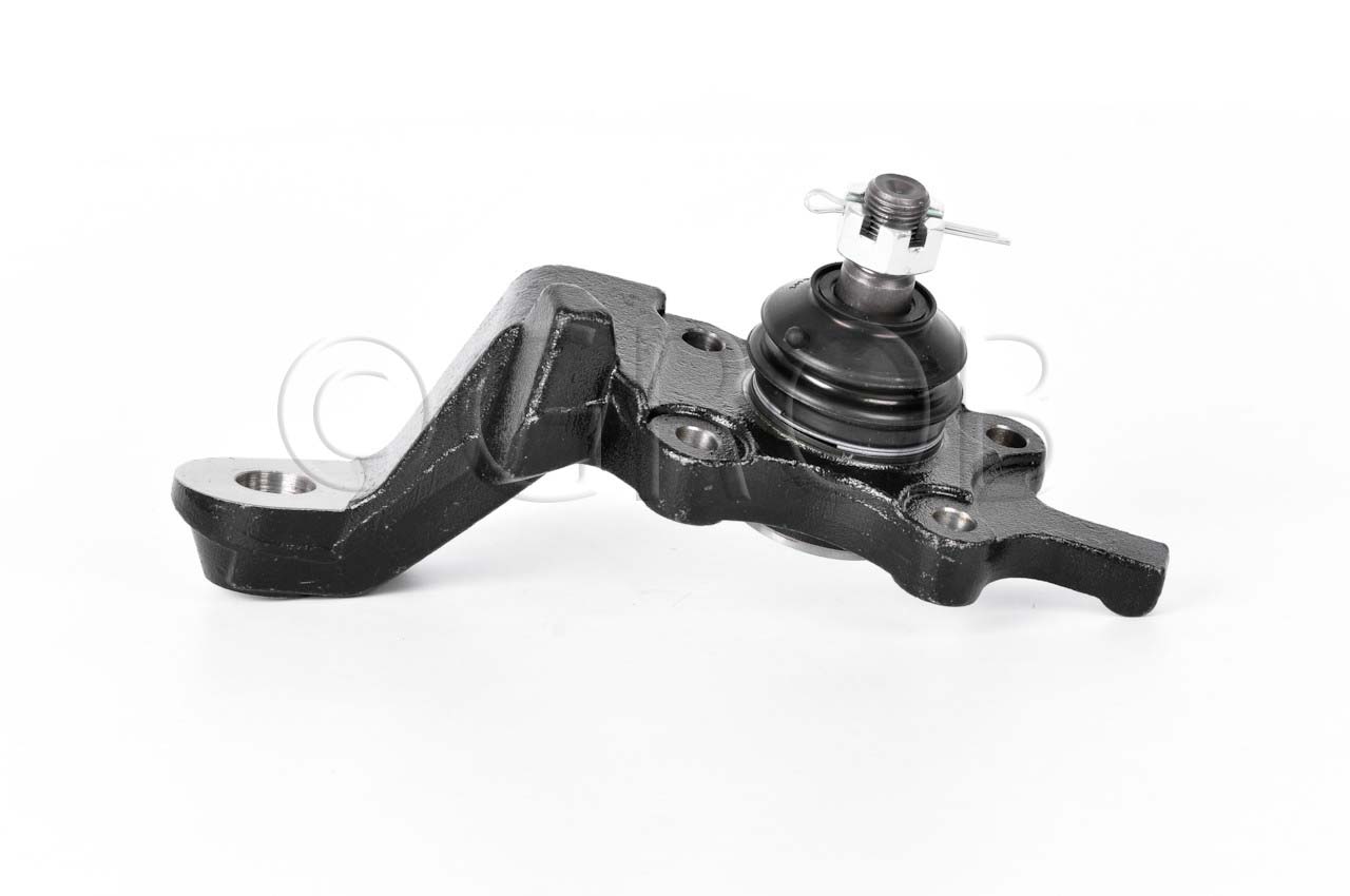Rotula Inf. Der. Tacoma 4X4 95-04