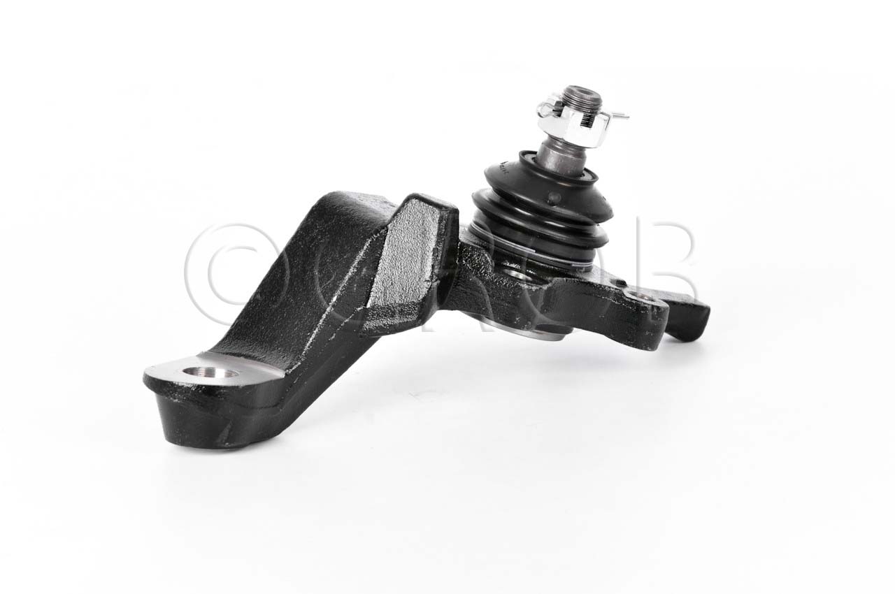 Rotula Inf. Der. Tacoma 4X4 95-04