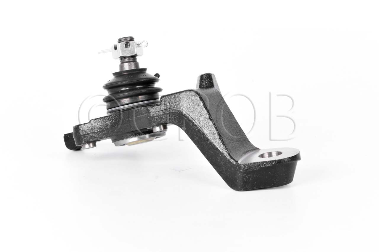 Rotula Inf. Der. Tacoma 4X4 95-04