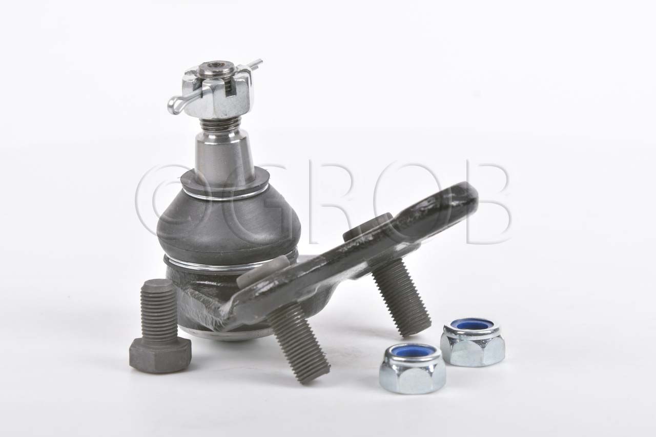 Rotula Inf. Rav 4 06-18