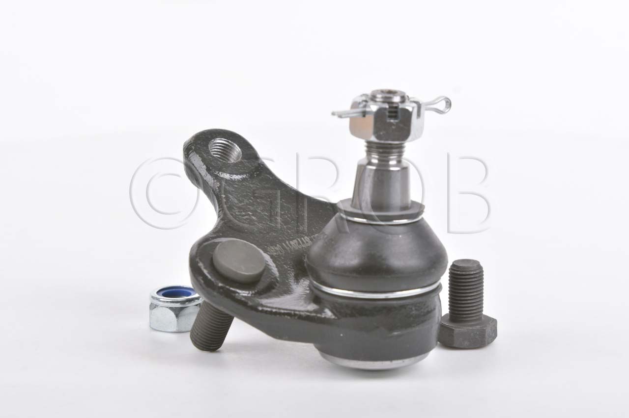 Rotula Inf. Rav 4 06-18