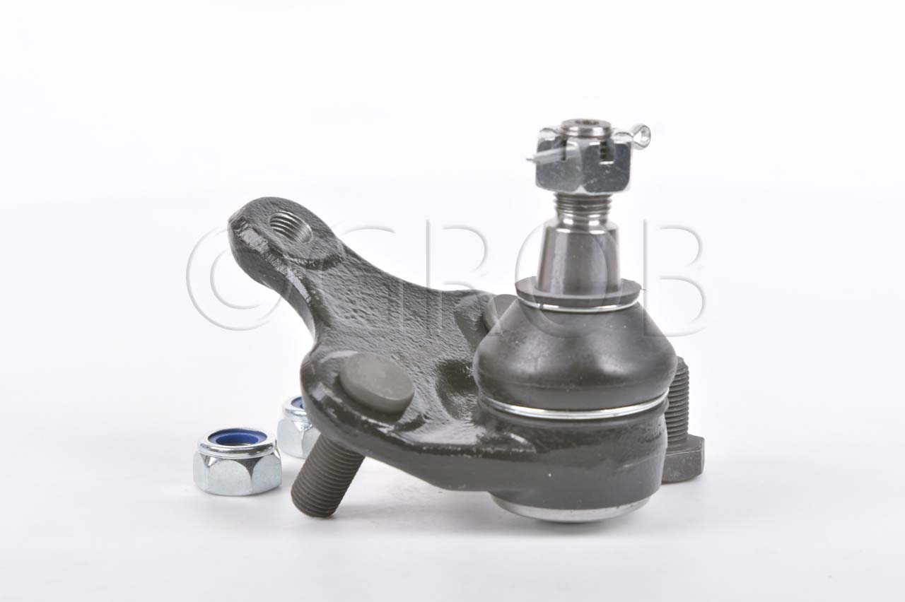 Rotula Inf. Rav 4 06-18