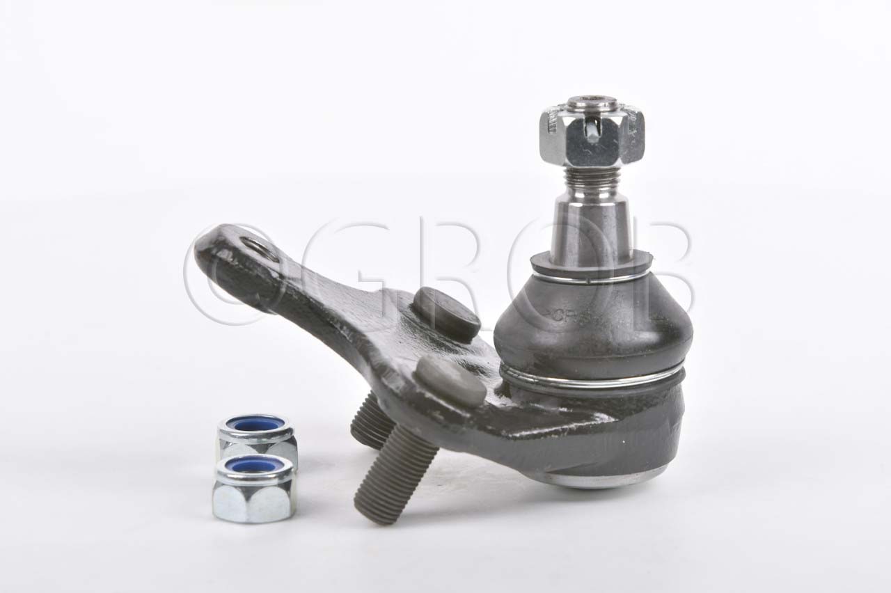 Rotula Inf. Rav 4 06-18