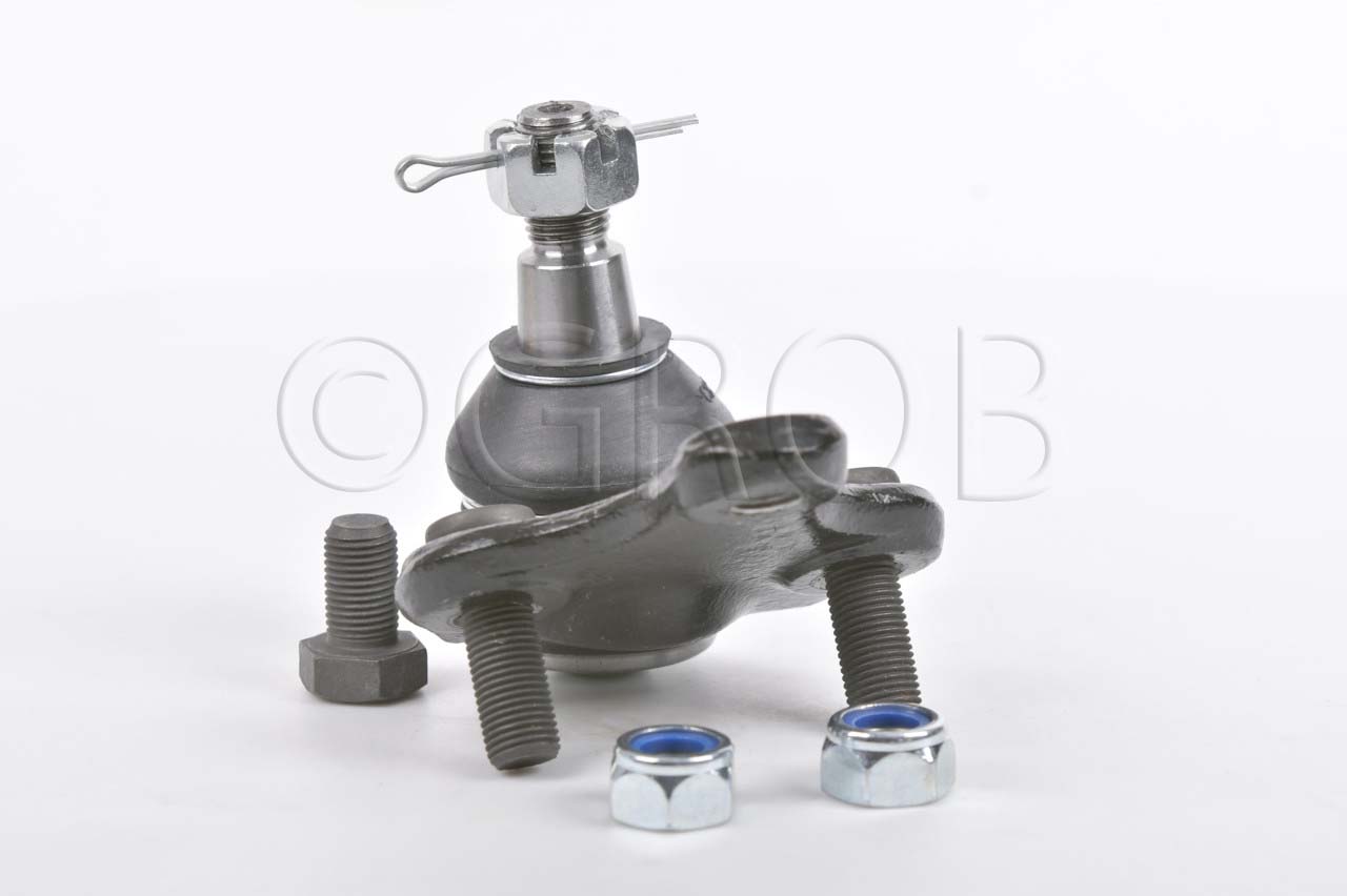 Rotula Inf. Rav 4 06-18