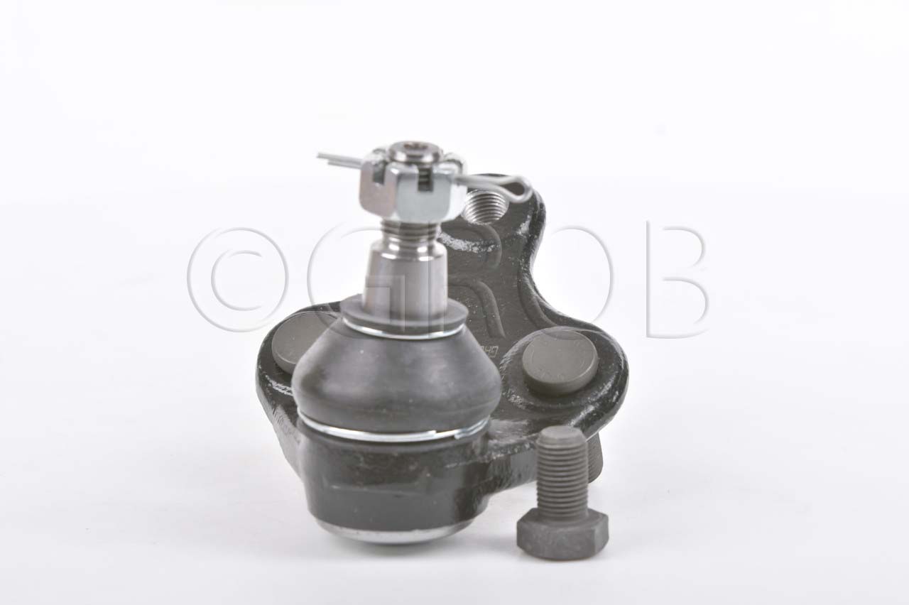 Rotula Inf. Rav 4 06-18