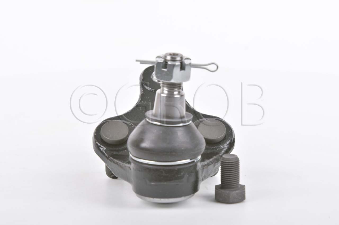 Rotula Inf. Rav 4 06-18