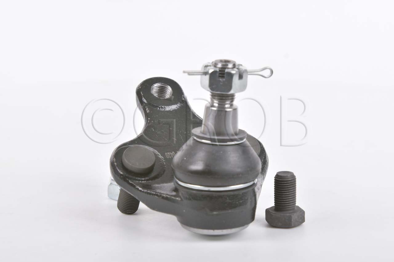 Rotula Inf. Rav 4 06-18
