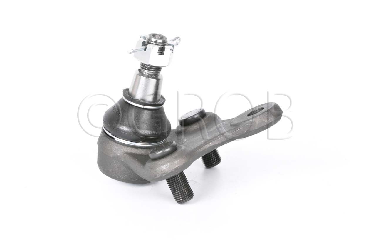 Rotula Inf. Rav 4 96-00