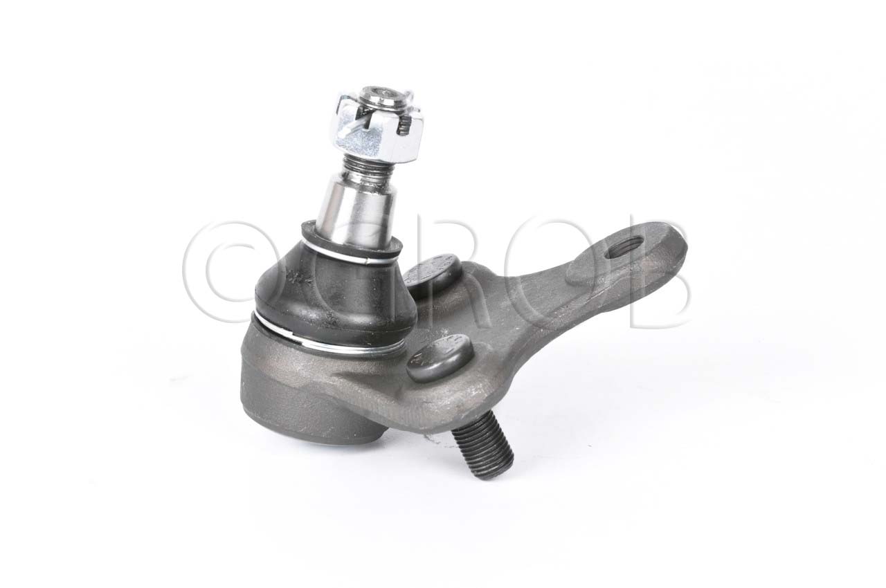 Rotula Inf. Rav 4 96-00