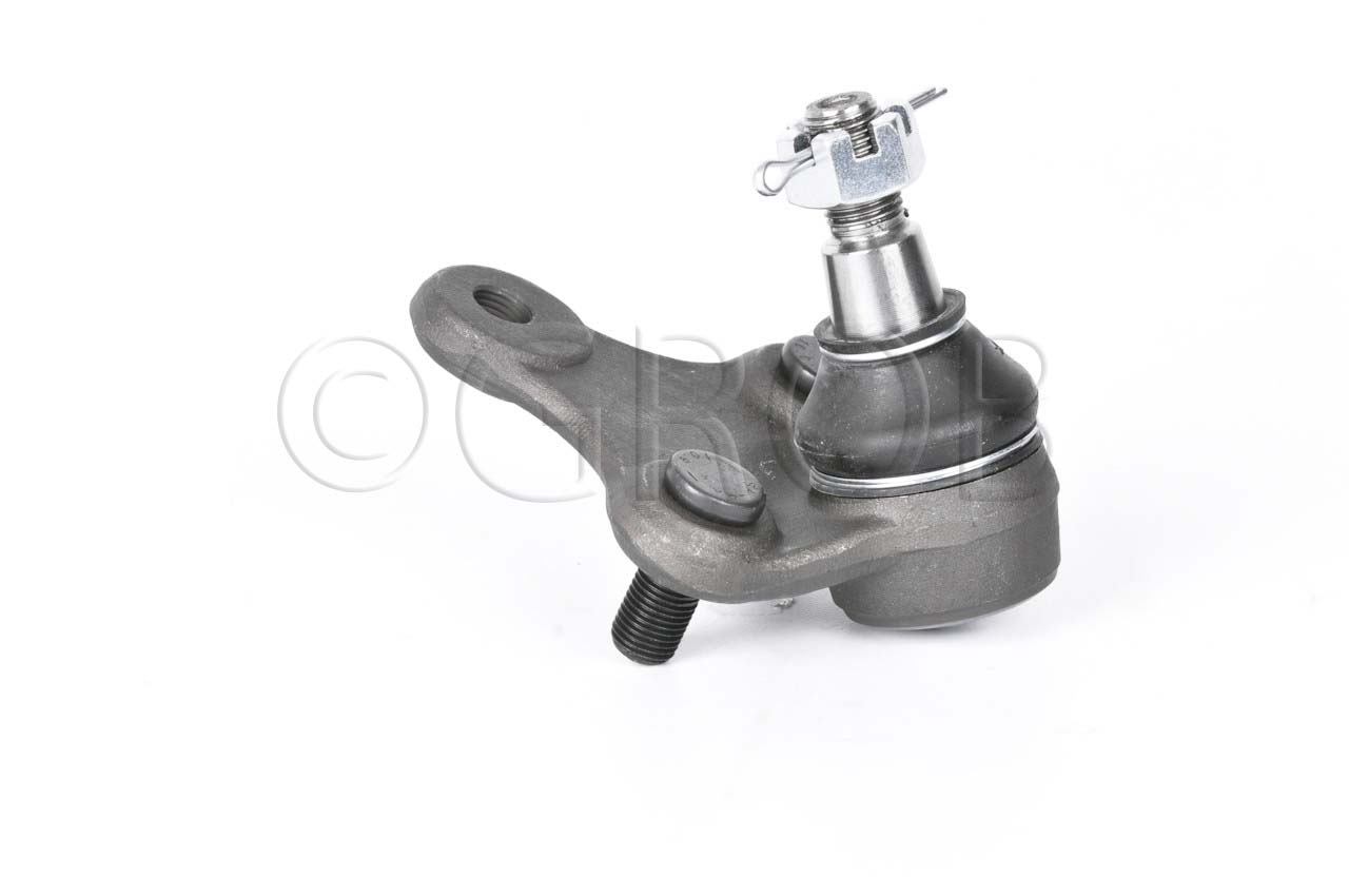 Rotula Inf. Rav 4 96-00