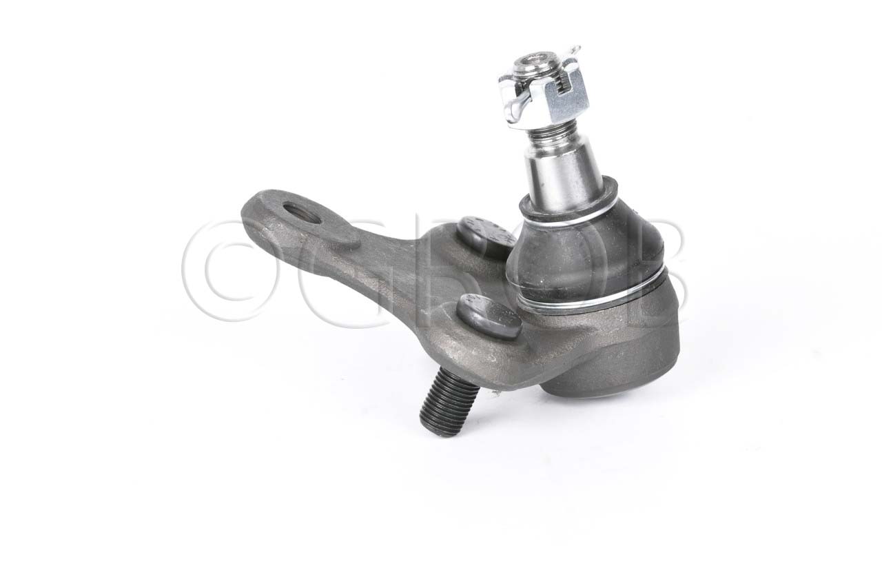 Rotula Inf. Rav 4 96-00