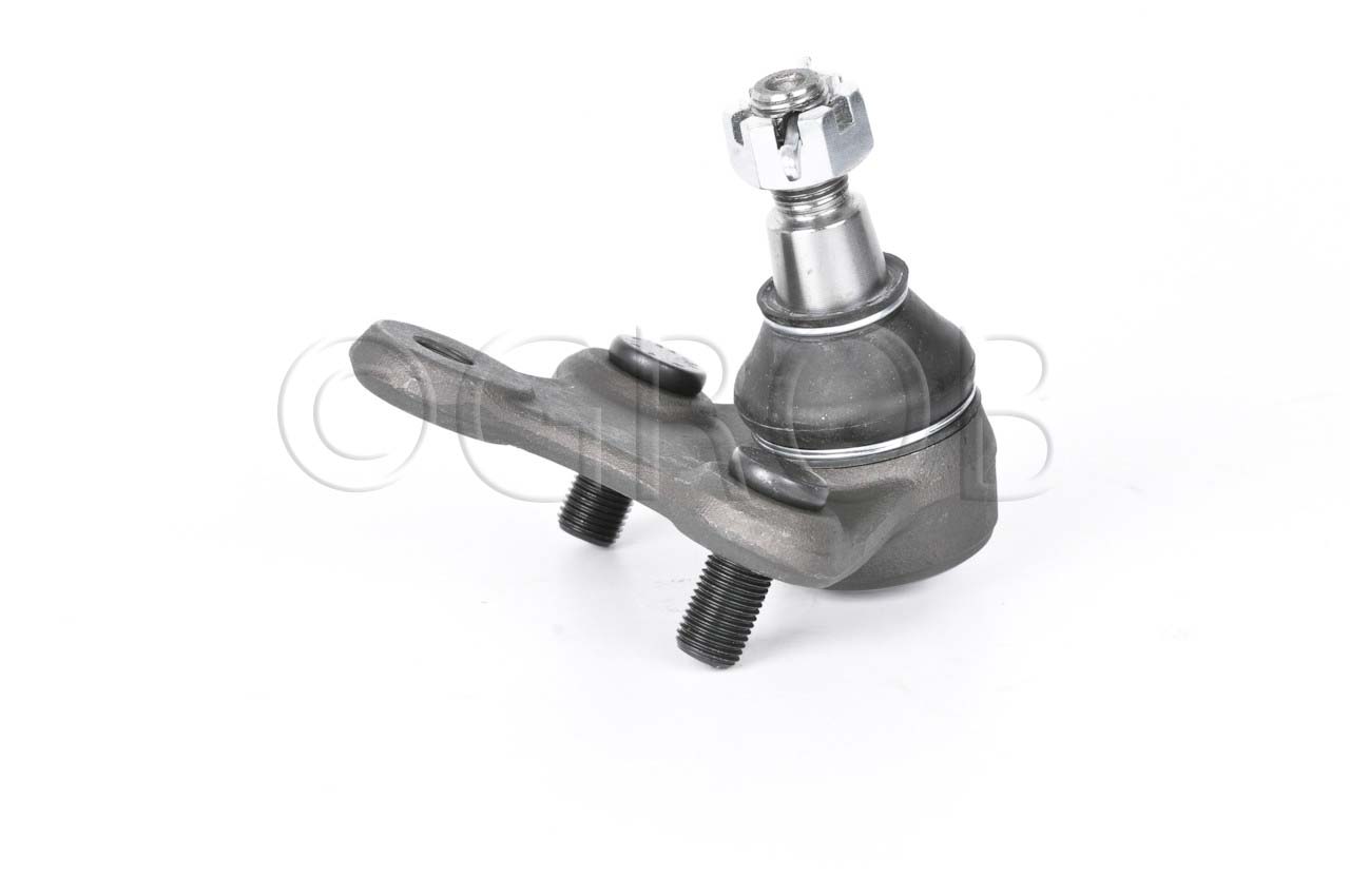 Rotula Inf. Rav 4 96-00