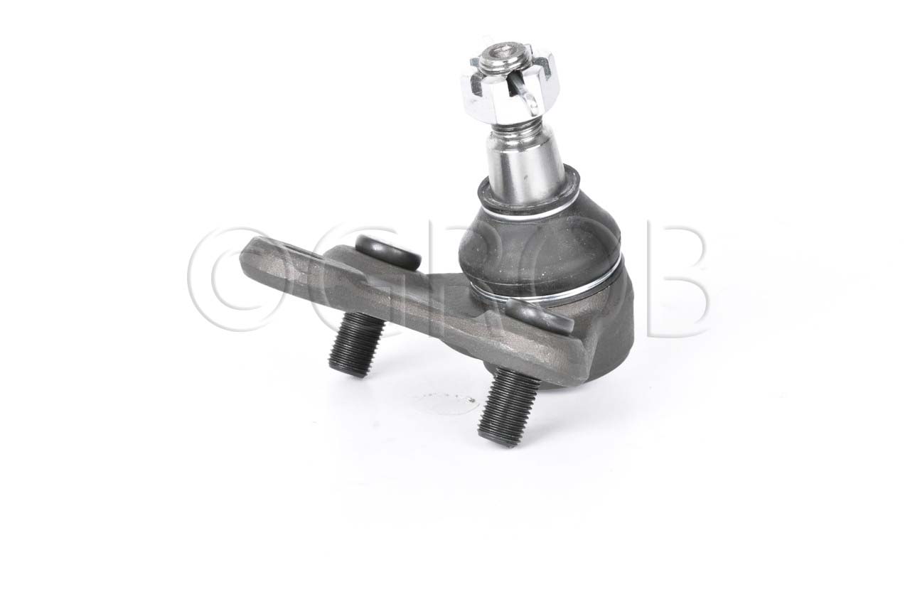 Rotula Inf. Rav 4 96-00