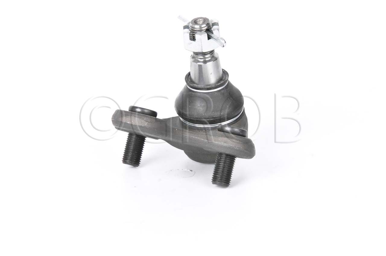 Rotula Inf. Rav 4 96-00