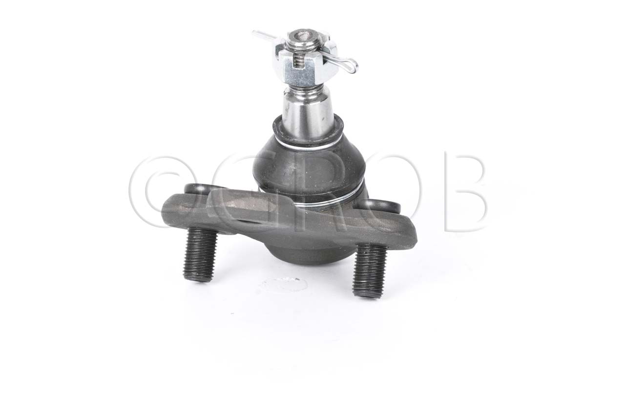 Rotula Inf. Rav 4 96-00