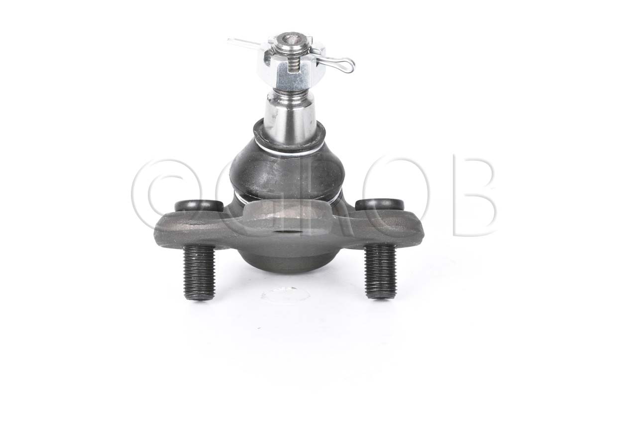 Rotula Inf. Rav 4 96-00